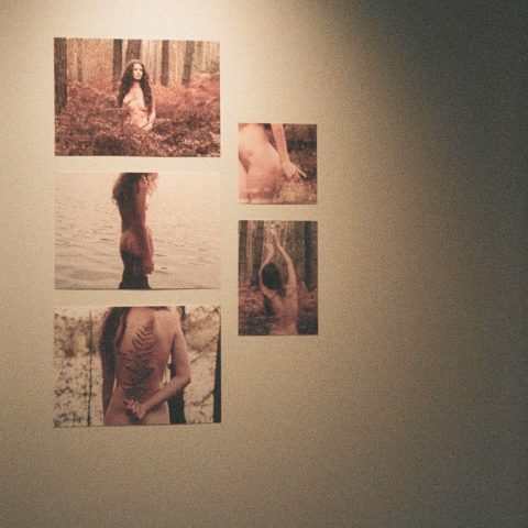 In Nature's Serenity